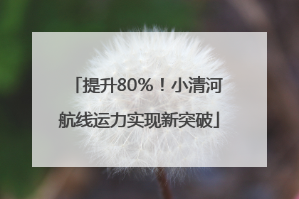 提升80％！小清河航线运力实现新突破