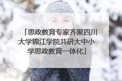 思政教育专家齐聚四川大学锦江学院共研大中小学思政教育一体化