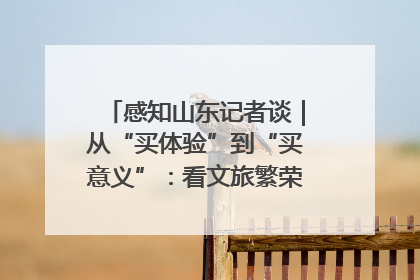 感知山东记者谈｜从“买体验”到“买意义”：看文旅繁荣背后的幸福新定义