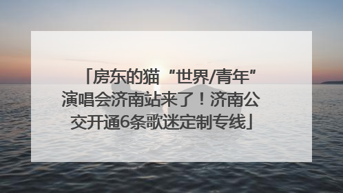 房东的猫“世界/青年”演唱会济南站来了！济南公交开通6条歌迷定制专线