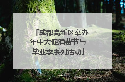成都高新区举办年中大促消费节与毕业季系列活动