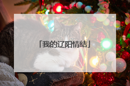 我的辽阳情结