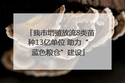 我市增殖放流8类苗种13亿单位 助力“蓝色粮仓”建设