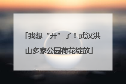 我想“开”了！武汉洪山多家公园荷花绽放