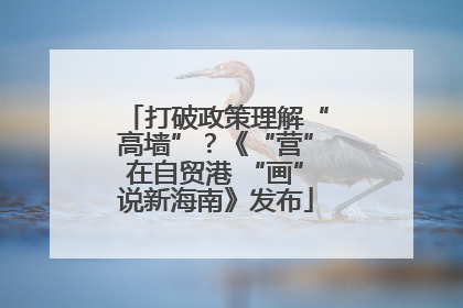 打破政策理解“高墙”？《“营”在自贸港 “画”说新海南》发布