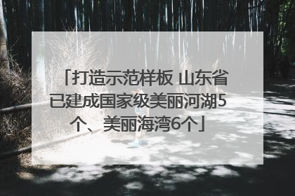 打造示范样板 山东省已建成国家级美丽河湖5个、美丽海湾6个
