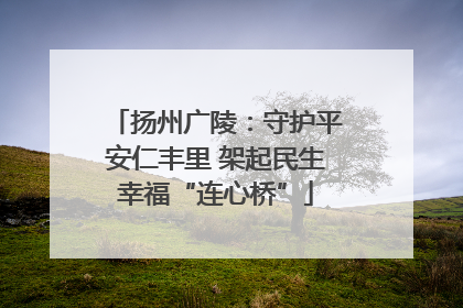 扬州广陵：守护平安仁丰里 架起民生幸福“连心桥”