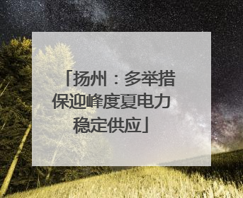 扬州：多举措保迎峰度夏电力稳定供应