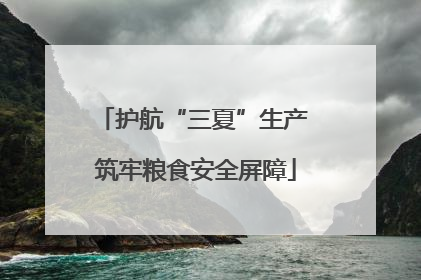 护航“三夏”生产 筑牢粮食安全屏障