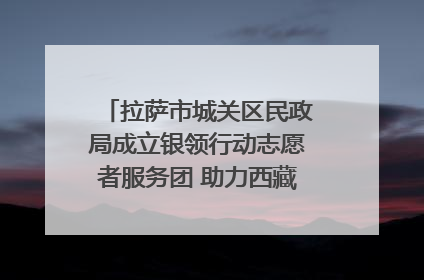 拉萨市城关区民政局成立银领行动志愿者服务团 助力西藏银发经济发展