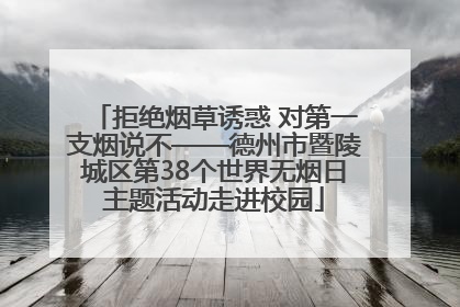 拒绝烟草诱惑 对第一支烟说不——德州市暨陵城区第38个世界无烟日主题活动走进校园