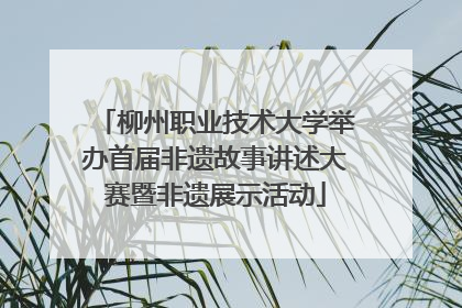 柳州职业技术大学举办首届非遗故事讲述大赛暨非遗展示活动