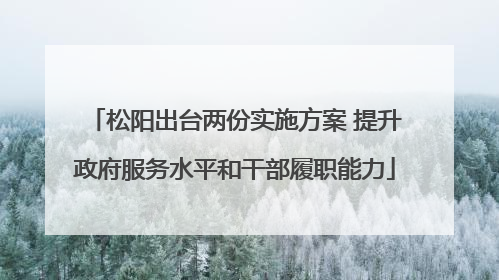 松阳出台两份实施方案 提升政府服务水平和干部履职能力