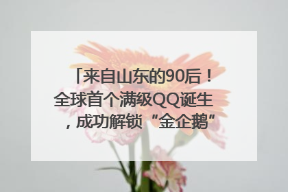 来自山东的90后！全球首个满级QQ诞生，成功解锁“金企鹅”，是继承父亲账号