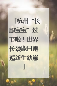 杭州“长腿宝宝”过节啦！世界长颈鹿日邂逅新生幼崽