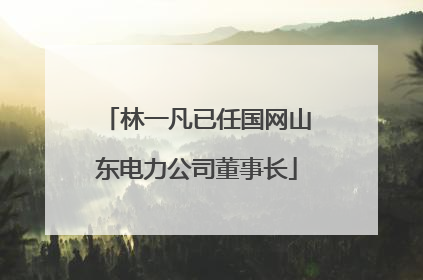 林一凡已任国网山东电力公司董事长