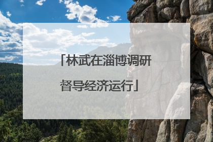 林武在淄博调研督导经济运行