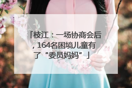 枝江：一场协商会后，164名困境儿童有了“委员妈妈”