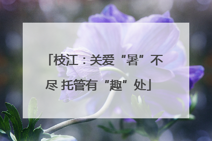 枝江：关爱“暑”不尽 托管有“趣”处