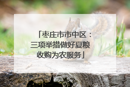 枣庄市市中区：三项举措做好夏粮收购为农服务