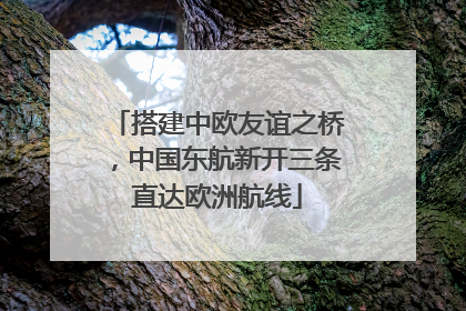 搭建中欧友谊之桥，中国东航新开三条直达欧洲航线