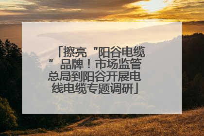 擦亮“阳谷电缆”品牌！市场监管总局到阳谷开展电线电缆专题调研