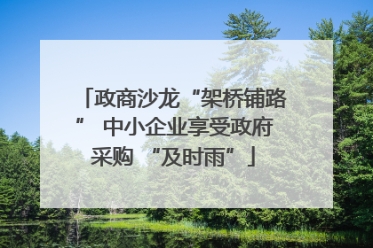 政商沙龙“架桥铺路” 中小企业享受政府采购 “及时雨”