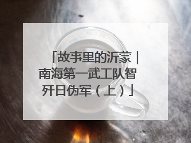 故事里的沂蒙｜南海第一武工队智歼日伪军（上）