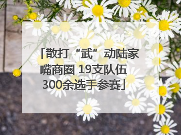 散打“武”动陆家嘴商圈 19支队伍300余选手参赛