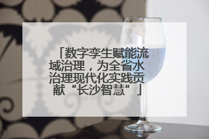 数字孪生赋能流域治理，为全省水治理现代化实践贡献“长沙智慧”