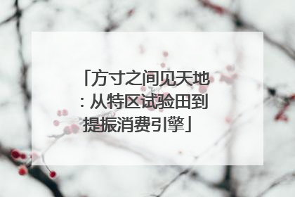 方寸之间见天地：从特区试验田到提振消费引擎