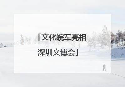 文化皖军亮相深圳文博会