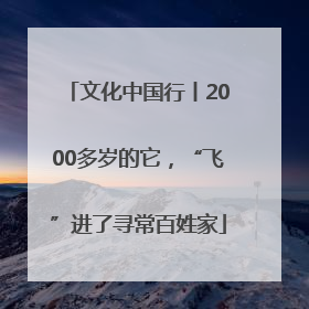 文化中国行丨2000多岁的它，“飞”进了寻常百姓家