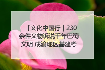 文化中国行｜230余件文物诉说千年巴蜀文明 成渝地区基建考古成果展开展