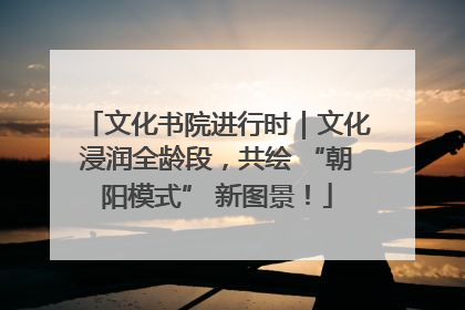 文化书院进行时｜文化浸润全龄段，共绘 “朝阳模式” 新图景！