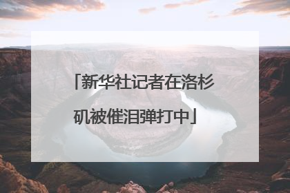 新华社记者在洛杉矶被催泪弹打中