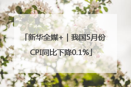 新华全媒+｜我国5月份CPI同比下降0.1%