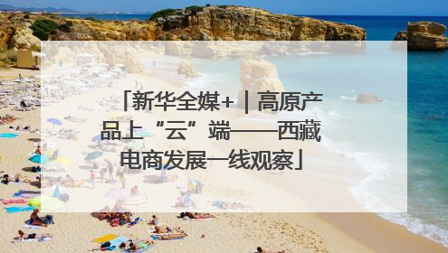 新华全媒+｜高原产品上“云”端——西藏电商发展一线观察
