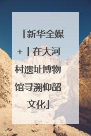 新华全媒+丨在大河村遗址博物馆寻溯仰韶文化