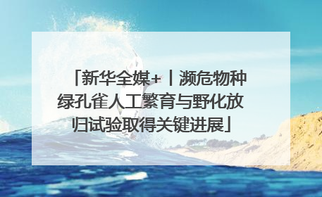 新华全媒+丨濒危物种绿孔雀人工繁育与野化放归试验取得关键进展