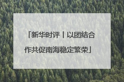 新华时评丨以团结合作共促南海稳定繁荣