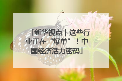 新华视点｜这些行业正在“爆单”！中国经济活力密码