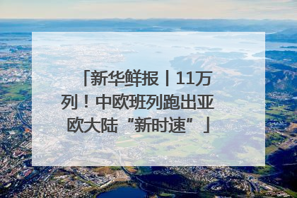 新华鲜报丨11万列！中欧班列跑出亚欧大陆“新时速”