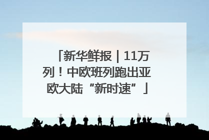 新华鲜报｜11万列！中欧班列跑出亚欧大陆“新时速”