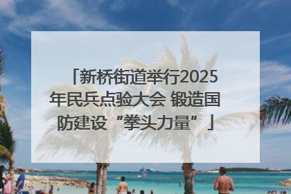 新桥街道举行2025年民兵点验大会 锻造国防建设“拳头力量”