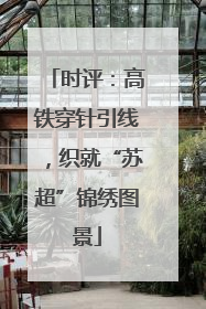 时评：高铁穿针引线，织就“苏超”锦绣图景