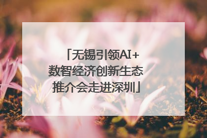 无锡引领AI+数智经济创新生态推介会走进深圳