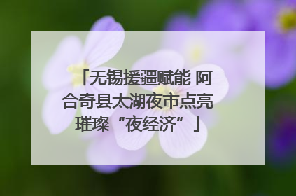 无锡援疆赋能 阿合奇县太湖夜市点亮璀璨“夜经济”