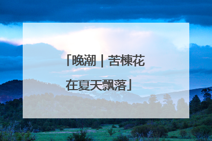 晚潮｜苦楝花在夏天飘落
