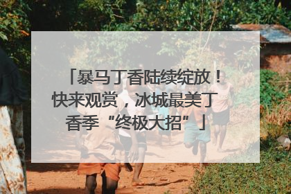 暴马丁香陆续绽放！快来观赏，冰城最美丁香季“终极大招”